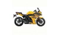 Carénage Yamaha FZ6R