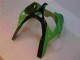 2000-2002 Vert Noir Kawasaki ZX6R Carrosserie Moto