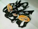 2001-2003 Orange Noir Honda CBR600 F4i Carénage Moto
