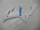 2002-2003 Blanc Yamaha YZF R1 Carénage Moto 2002-2003 Blanc Yamaha YZF R1 Carénage Moto