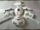 2004-2005 Blanc Noir Repsol Honda CBR1000RR Carénage Moto