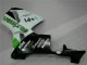 2005-2006 Vert Honda CBR600RR Carénage Moto 2005-2006 Vert Honda CBR600RR Carénage Moto