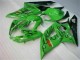 2005-2006 Vert Suzuki GSXR 1000 Carénage Moto 2005-2006 Vert Suzuki GSXR 1000 Carénage Moto