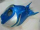 2006-2007 Bleu Argent Honda CBR1000RR Carénage Moto 2006-2007 Bleu Argent Honda CBR1000RR Carénage Moto