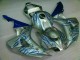 2006-2007 Bleu Flamme Argent Honda CBR1000RR Carénage Moto 2006-2007 Bleu Flamme Argent Honda CBR1000RR Carénage Moto