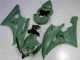 2006-2007 Vert Yamaha YZF R6 Carénage Moto 2006-2007 Vert Yamaha YZF R6 Carénage Moto