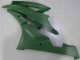 2006-2007 Vert Yamaha YZF R6 Carénage Moto 2006-2007 Vert Yamaha YZF R6 Carénage Moto