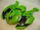 2007-2008 Vert Noir Dunlop Kawasaki ZX6R Carénage Moto 2007-2008 Vert Noir Dunlop Kawasaki ZX6R Carénage Moto