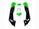 Carénages Moto Kawasaki ZZR600 1998-2003 - Vert Noir Monstre Elf