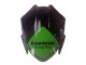 Carénages Moto Kawasaki EX300 2013-2024 - Vert Blanc Rouge Noir Elf