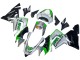Carénages Moto Kawasaki ZX10R 2004-2005 - Vert Argent Noir 69