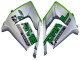 Carénages Moto Kawasaki ZX10R 2004-2005 - Vert Argent Noir 69