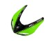 Carénages Moto Kawasaki ZX10R 2006-2007 - Vert Noir Elf Touch4 3M