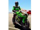 Carénages Moto Kawasaki ZX10R 2011-2015 - Vert Jaune Blanc Noir Rouge Pirelli